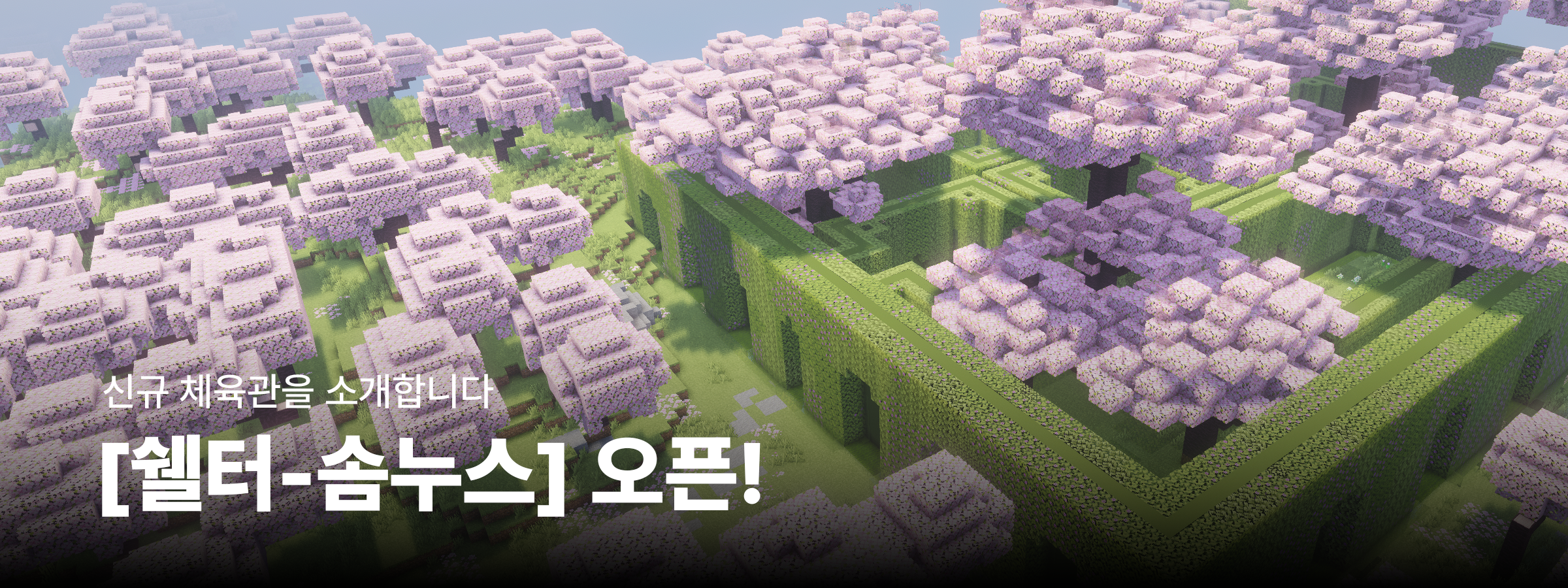 신규 체육관 오픈 - 쉘터-솜누스